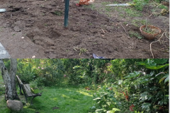 jardin-A
