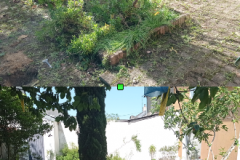 jardin-C